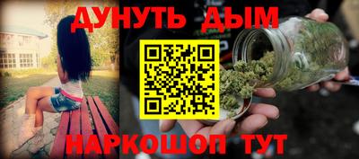 шишки Кинель